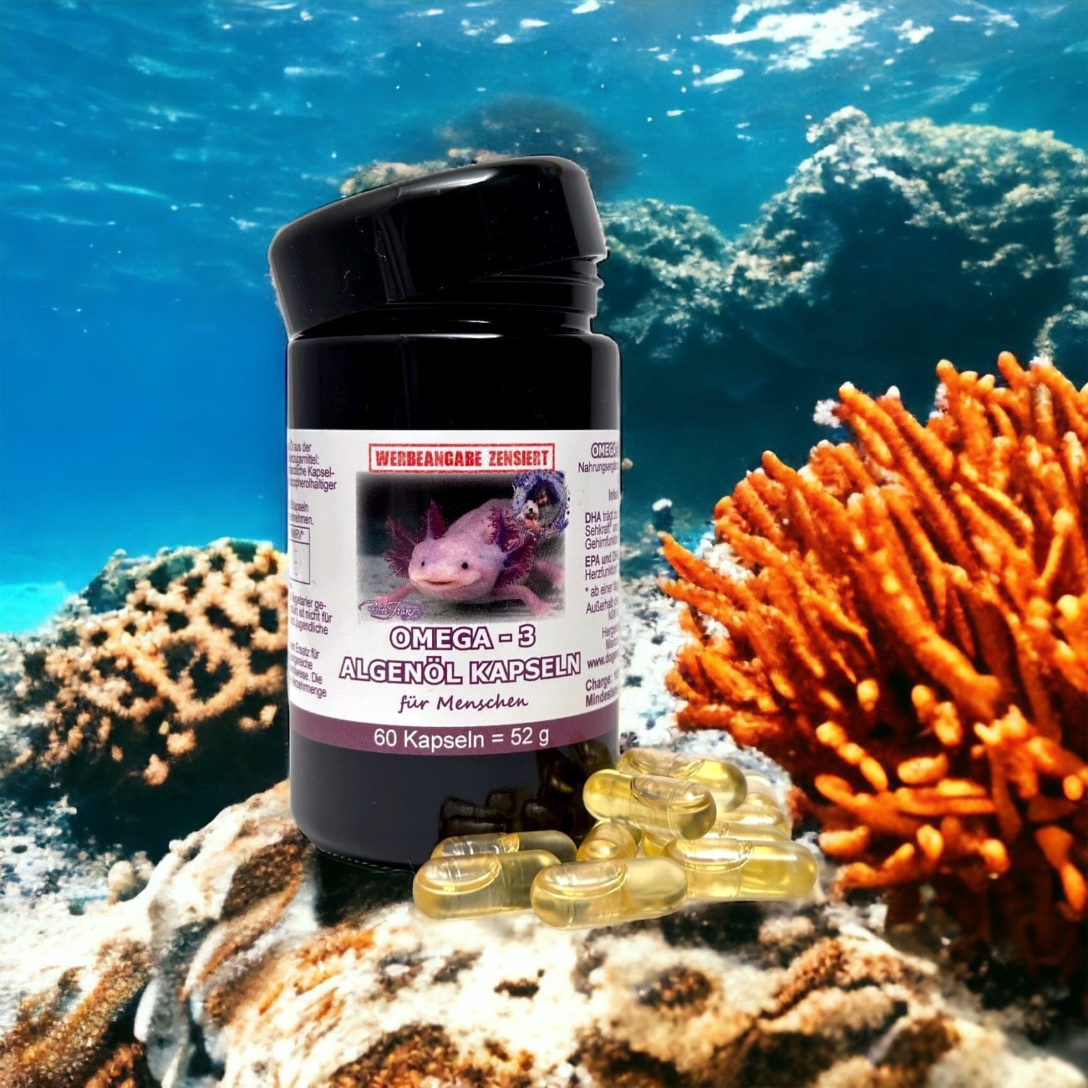 Omega 3 Algenöl Kapseln Robert Franz Shop Schweiz